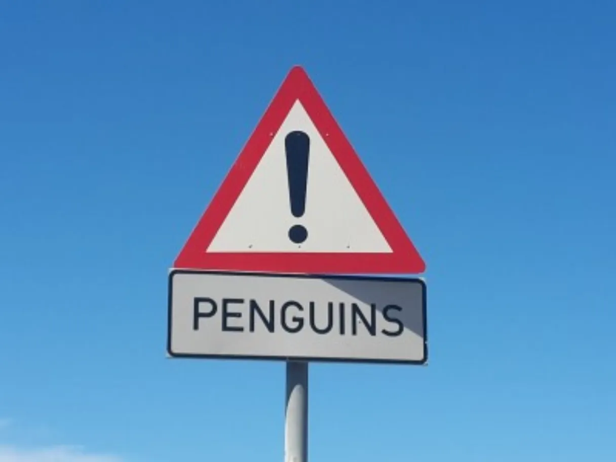 Cutting Through the Noise and Preventing a Penguin Panic