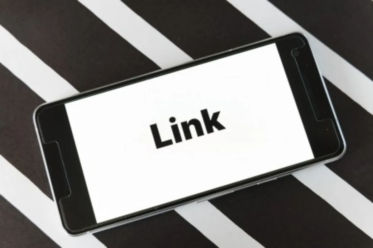 Practical Strategies for Building Quality Back Links