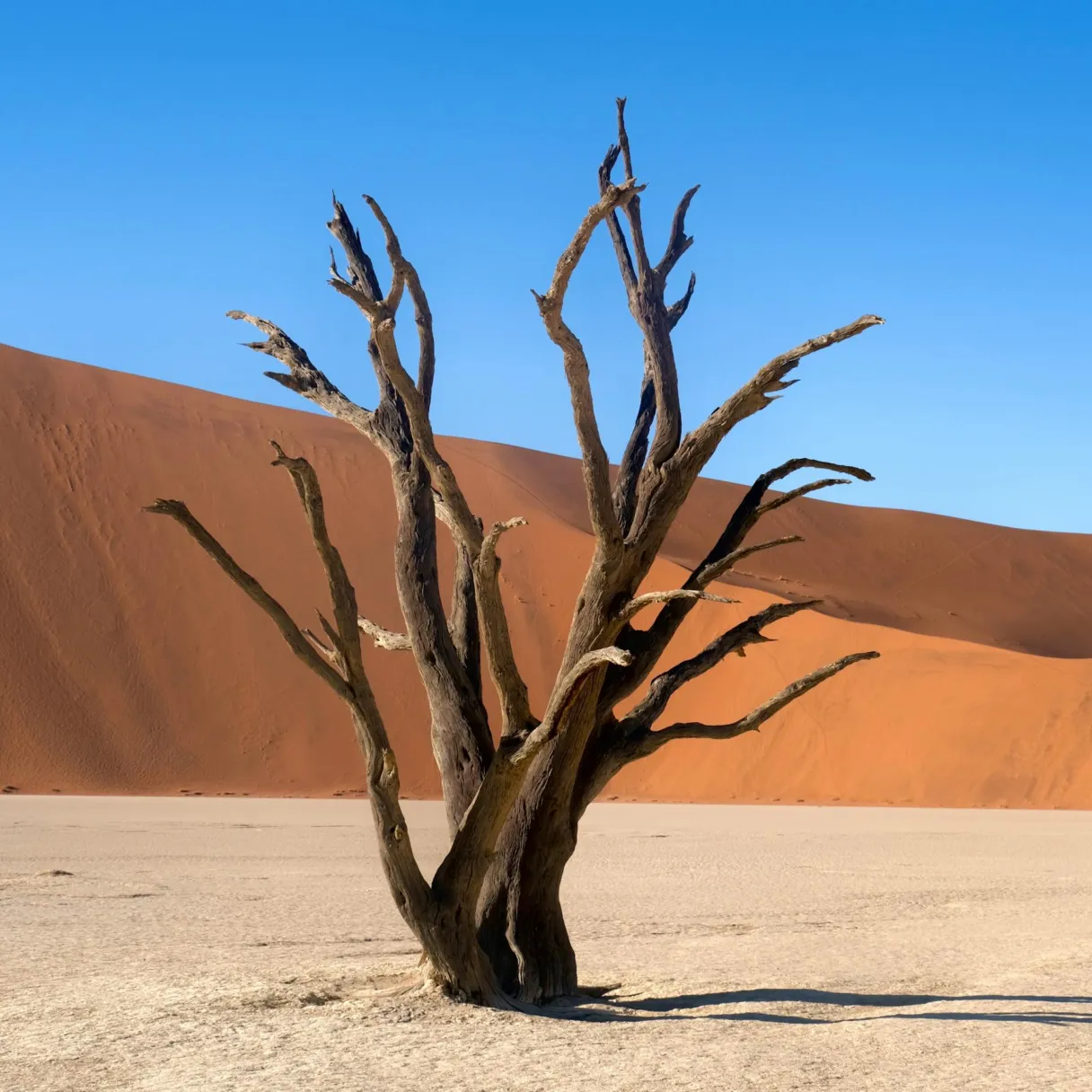 What is content decay? And how to fix it