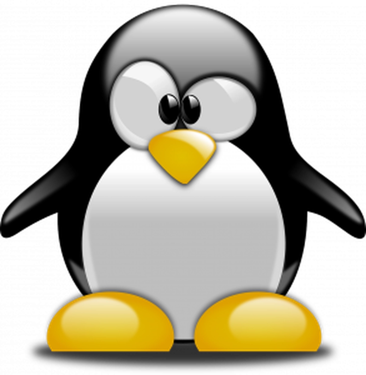 The Google Penguin Update: Bye Bye Blackhat?