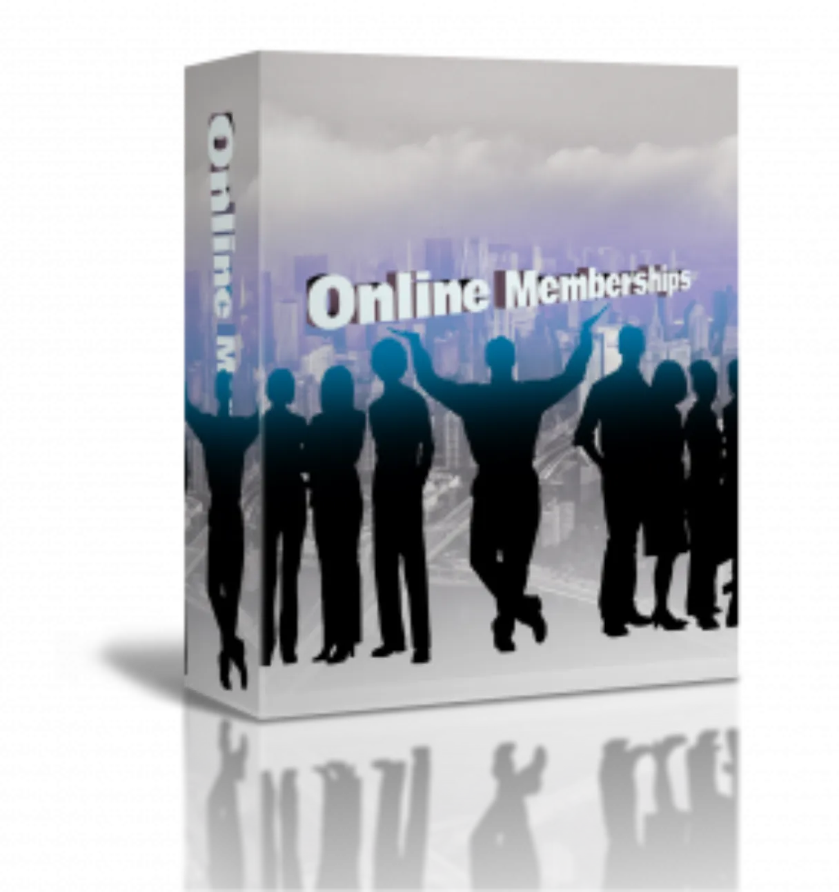 Building a Successful Membership Site