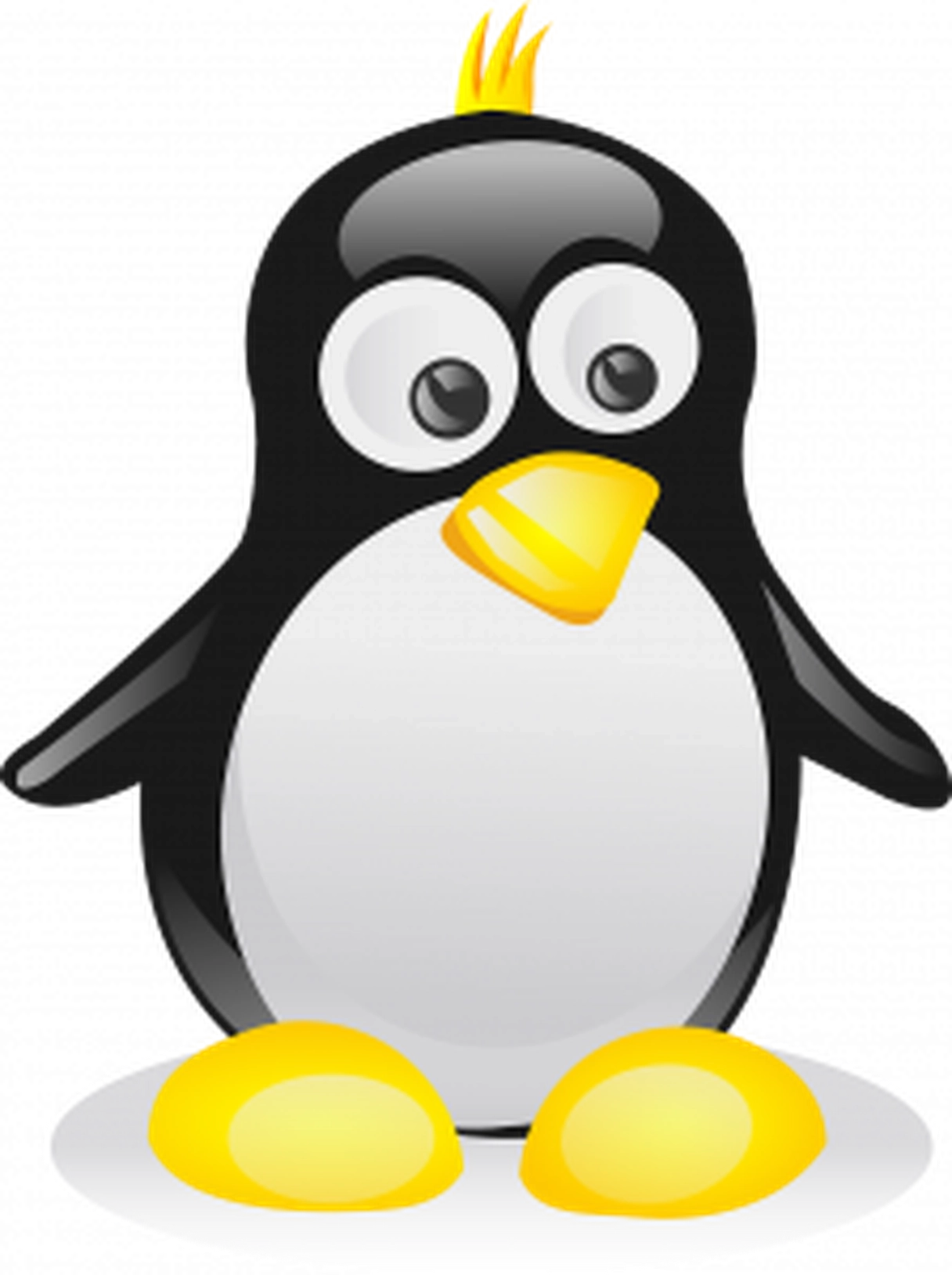 A New Penguin Update? What to Look For.