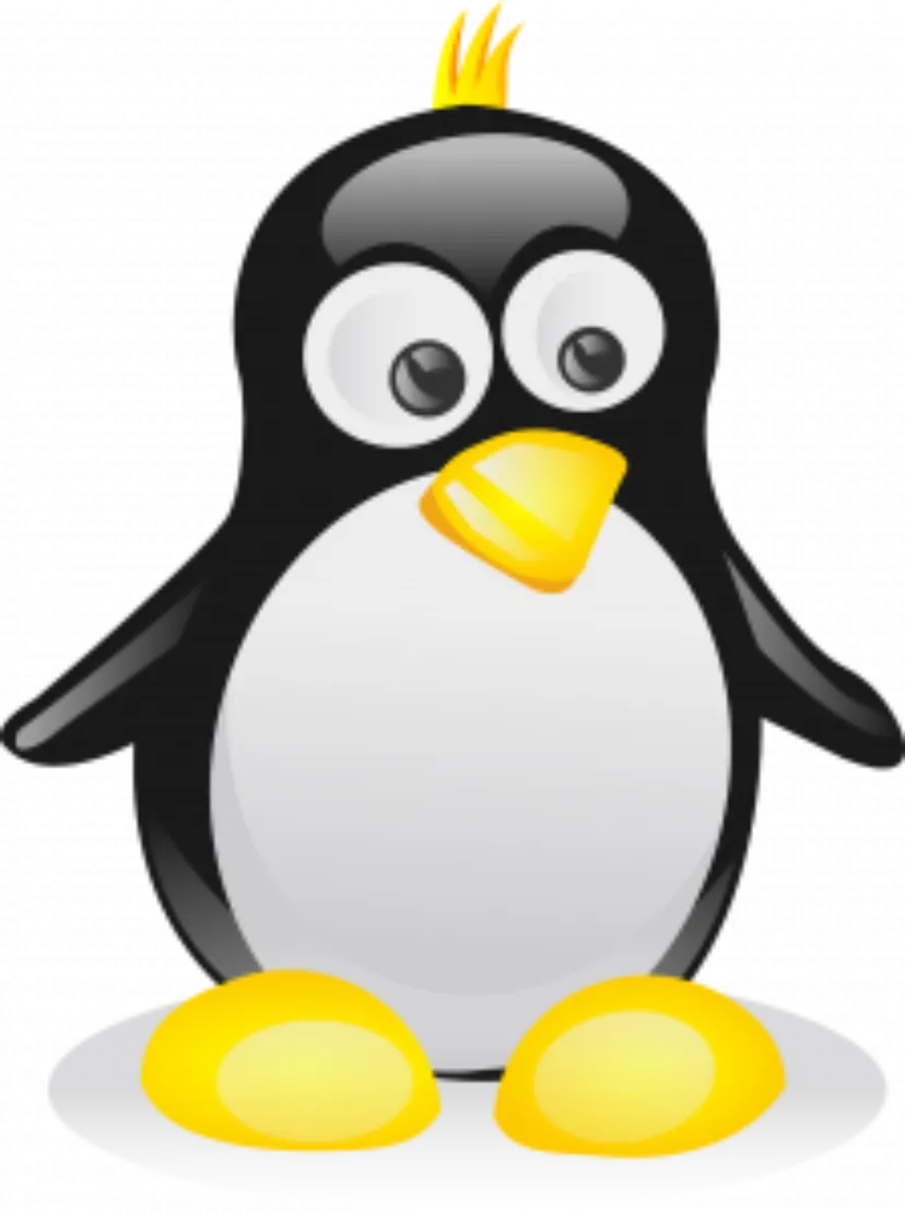 A New Penguin Update? What to Look For.