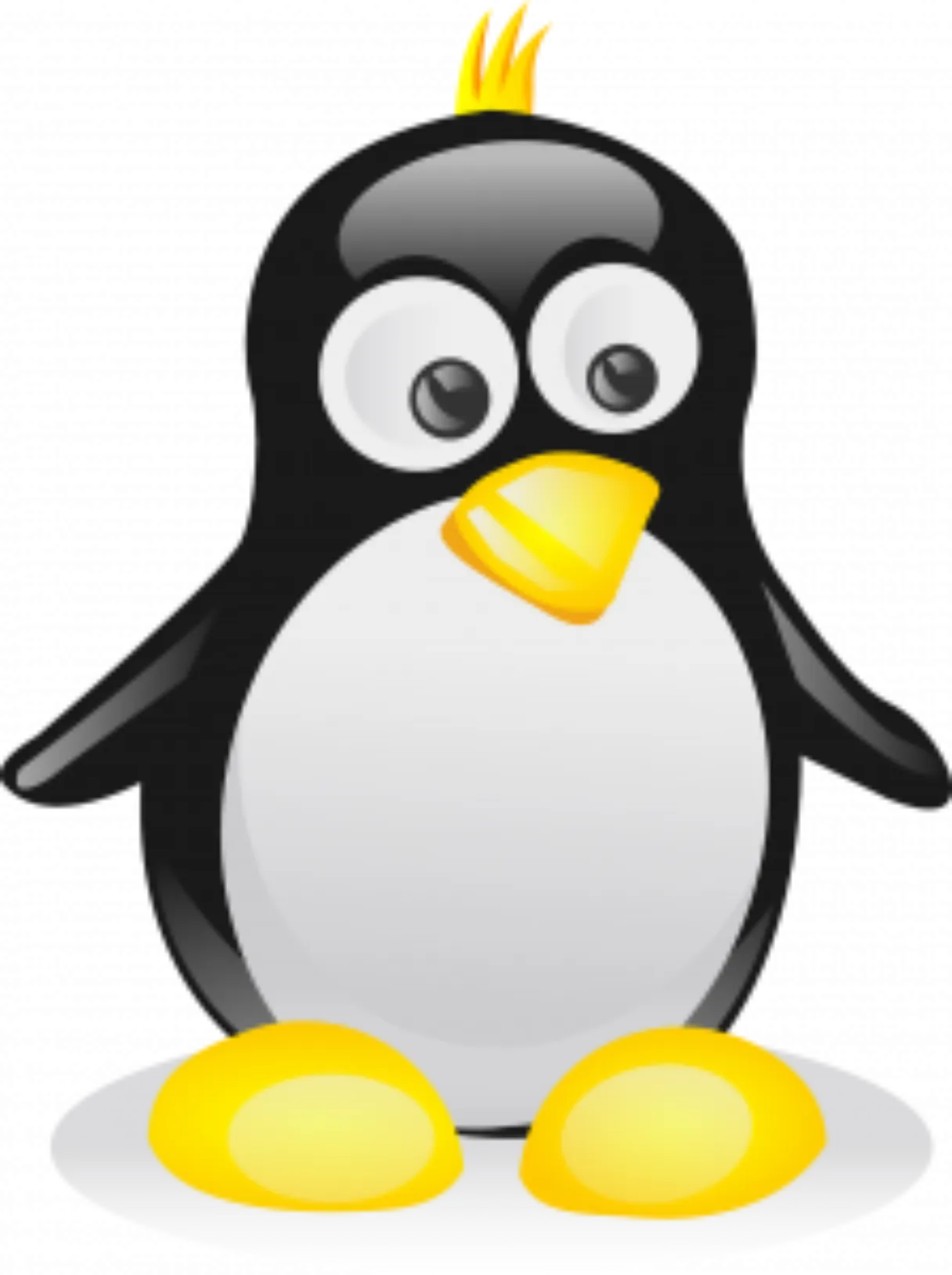 A New Penguin Update? What to Look For.