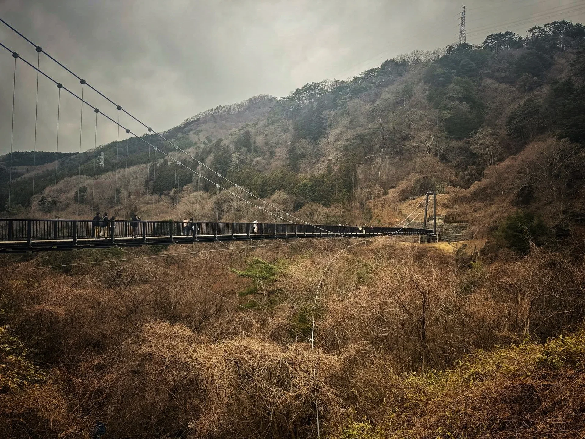 Kinugawa Onsen on a Plate: What We Ate and Loved