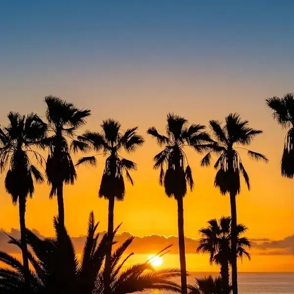 Eating in Costa Adeje, Tenerife – Our Favorite Restaurants and Honest Experiences