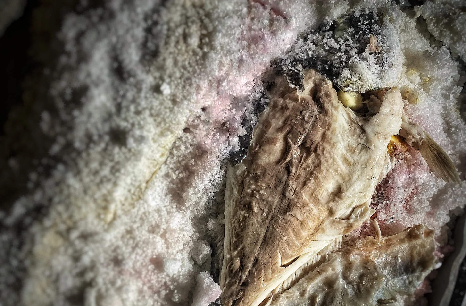 Baked Sea Bream with a Holiday Feeling