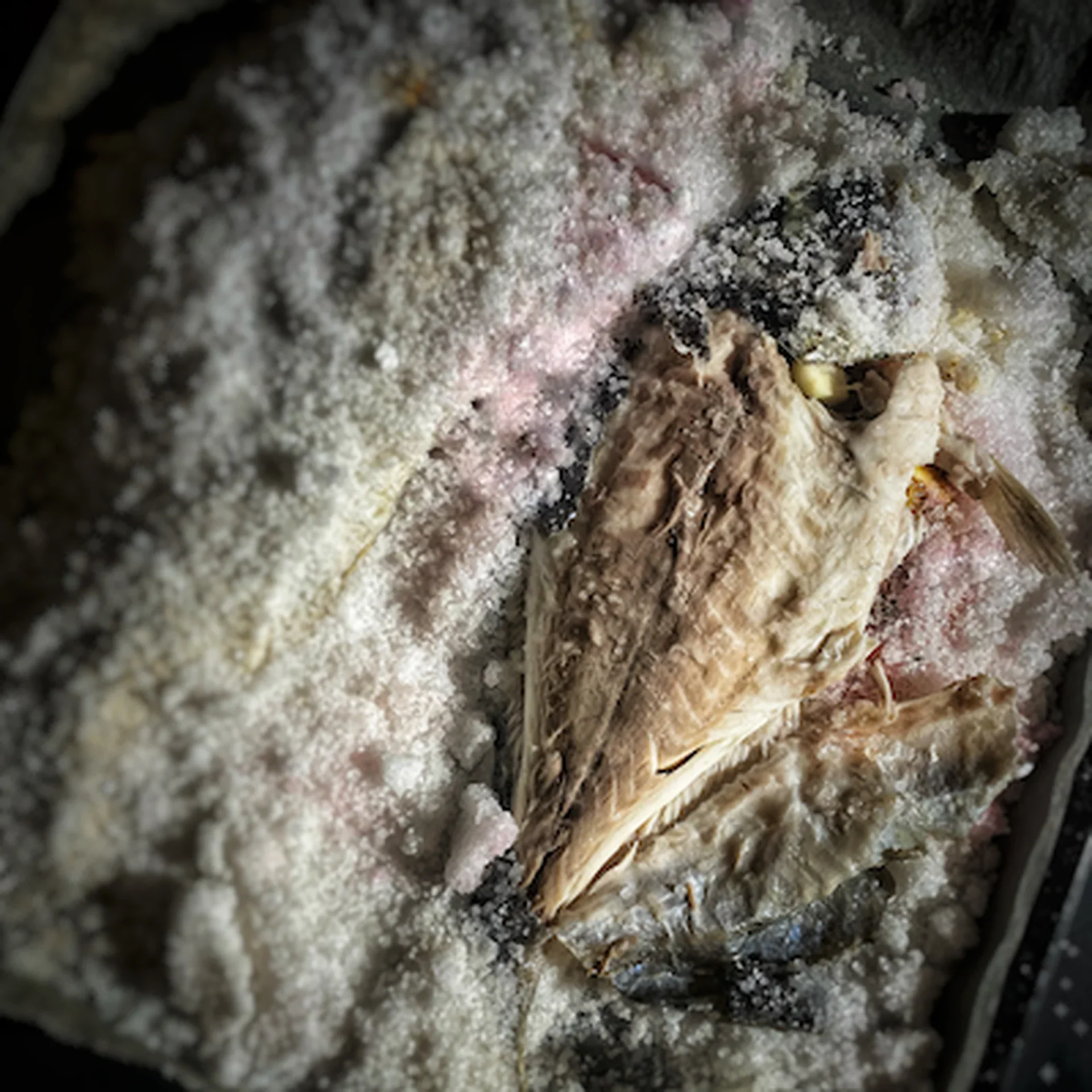 Baked Sea Bream with a Holiday Feeling