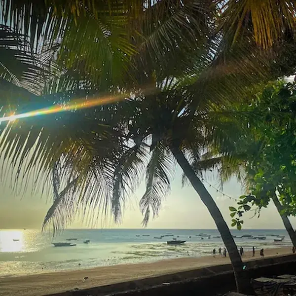 Taste the Less-Touristy Part of Zanzibar